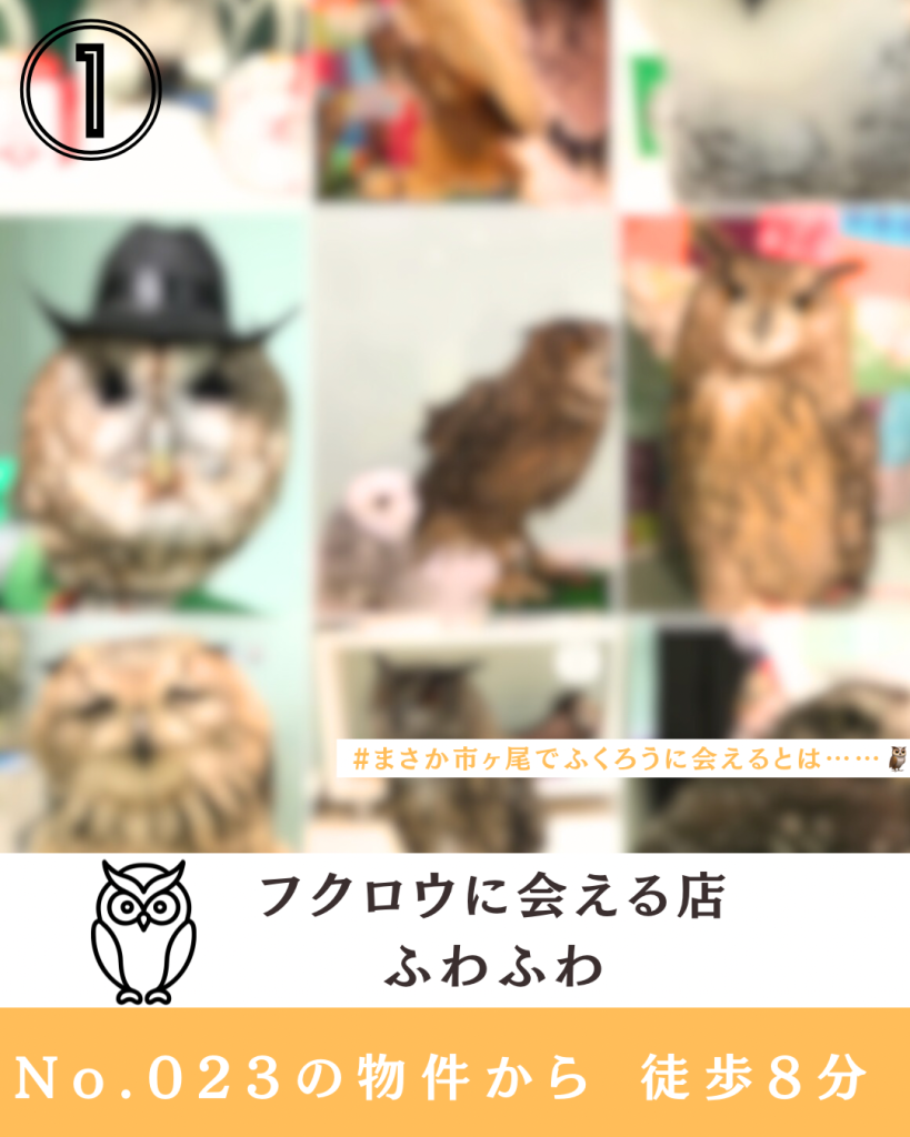 周辺情報①