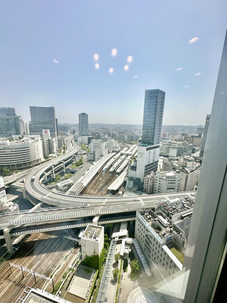 ザヨコハマフロントタワー リビングからの景色